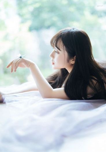柳舟记 电视剧免费观看全集高清