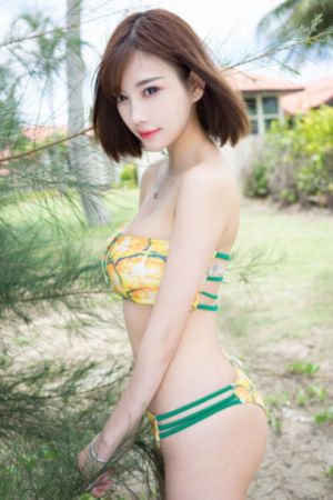 主妇的战争 电视剧
