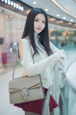法国空姐免费看